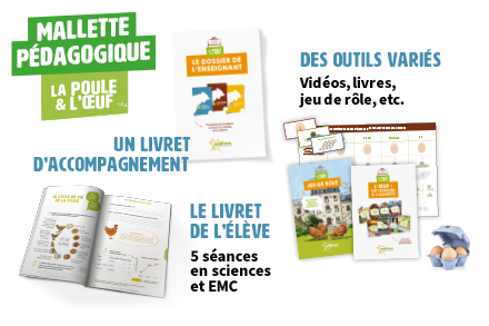 Activités pédagogiques autour de la poule